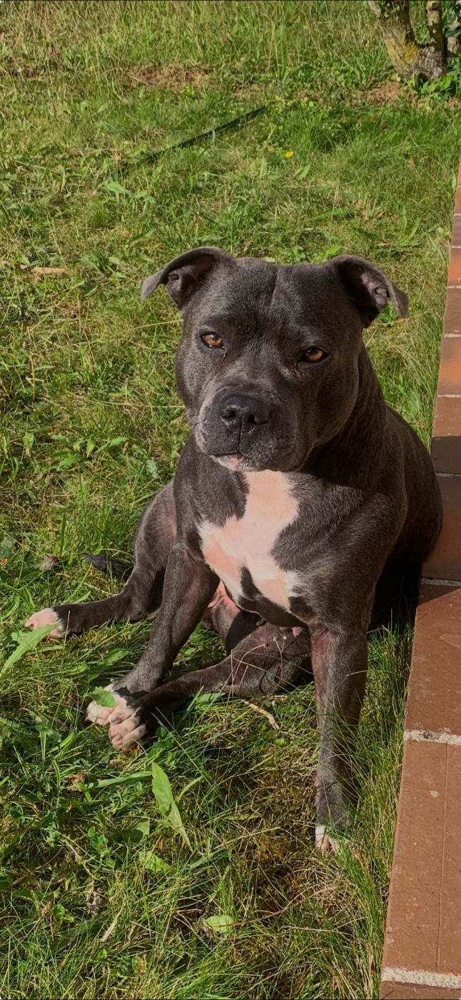 CH. Saddy way of contines (Sans Affixe)